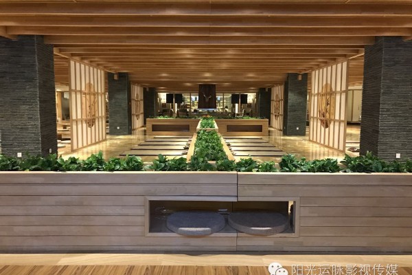 跑步塑形神器，全身肌肉线条立现！(跑步 塑形)